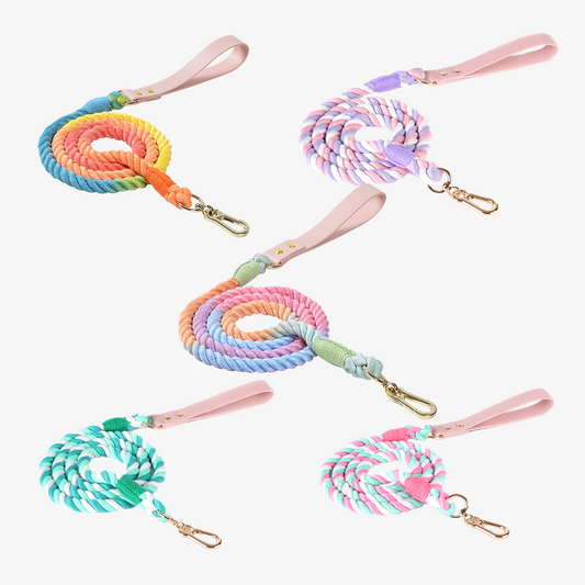 Colorful Hand Woven Rope & Leather Leash for Dogs