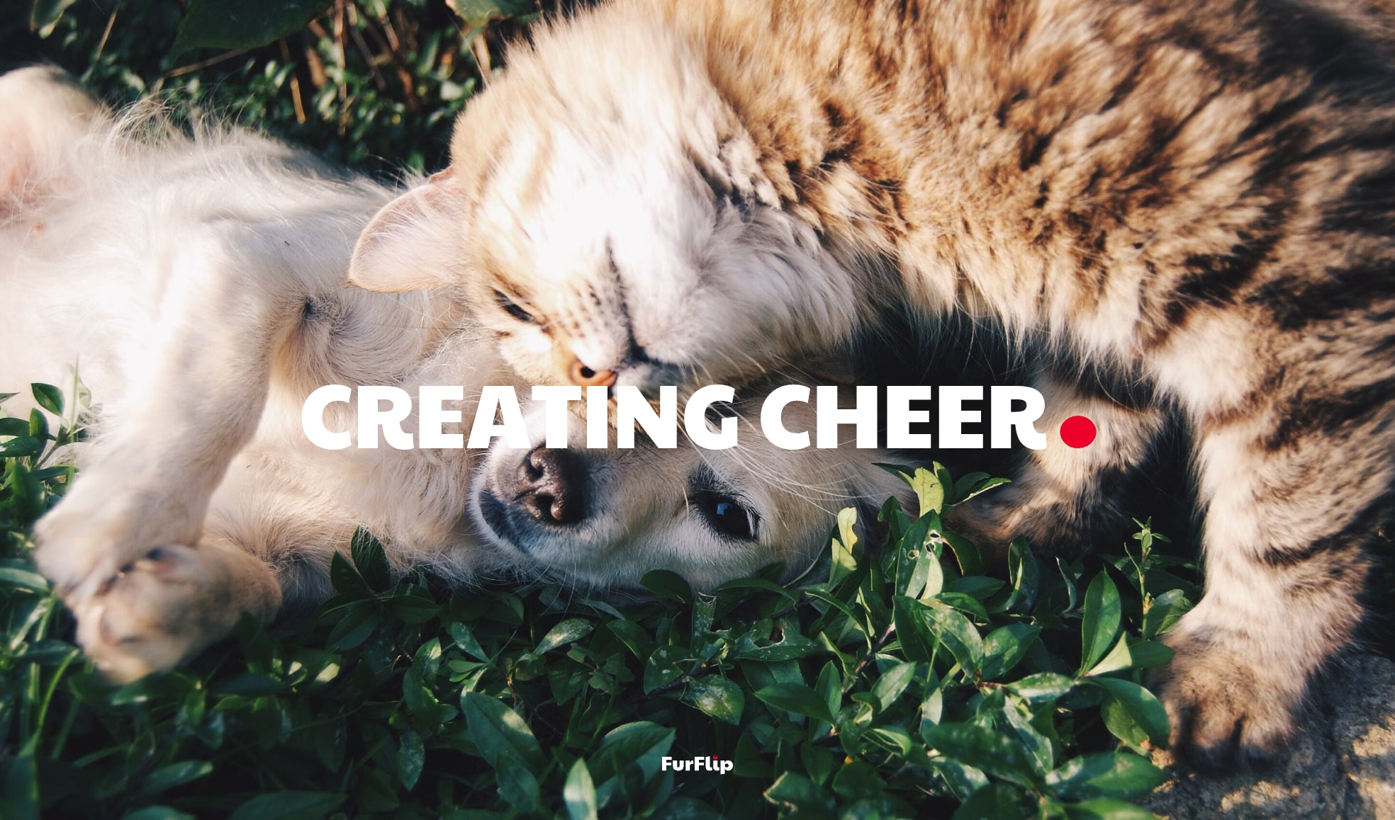 A cat and a dog lay on the ground, head to head, close together. The text above the image is FurFlip's slogan "CREATING CHEER."
