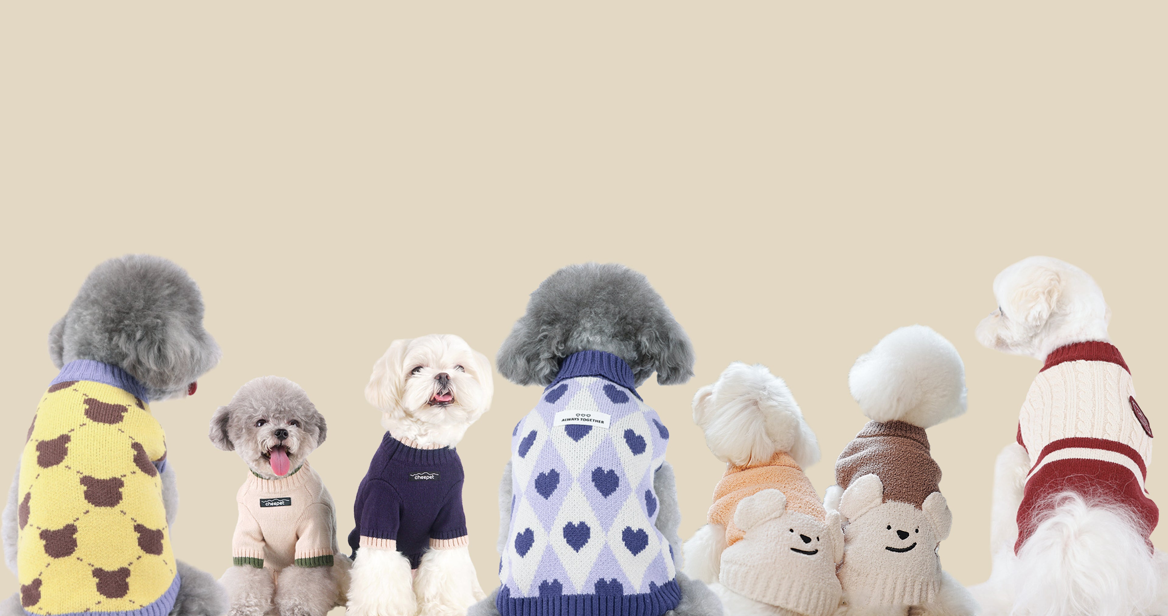 Slideshow: A row of dogs, all of them wearing all kinds of sweaters